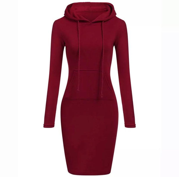 Hooded Long Sleevd Dress